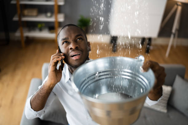 Best Local water damage restoration  in Grain Valley, MO
