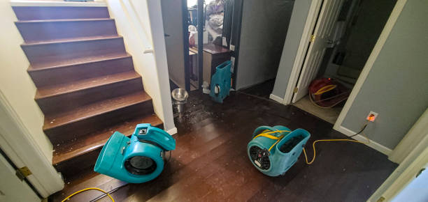 Best Water damage cleanup near me  in Grain Valley, MO