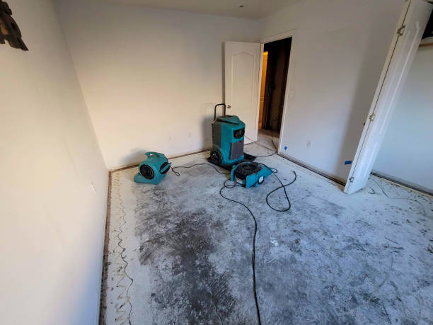 Grain Valley, MO Water damage restoration Company