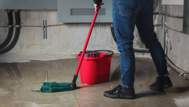 Best Flood restoration services  in Grain Valley, MO
